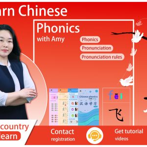 The basic phonics of Chinese pinyin Parent-child version