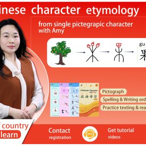 The etymology of single Chinese characters for adult